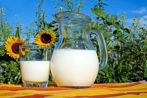 Татарстанстат: Республика является лидером в России по производству молока 