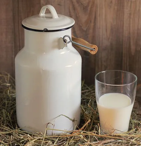 Татмолсоюз: На ноябрь 2021 года рост производства молока в Республике Татарстан составляет 3% 