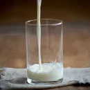 Под третий этап маркировки молочной продукции в Татарстане попали 27 предприятий – Минсельхоз